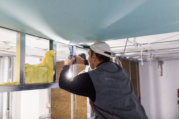 Best Blown-in Insulation in Roscoe, TX