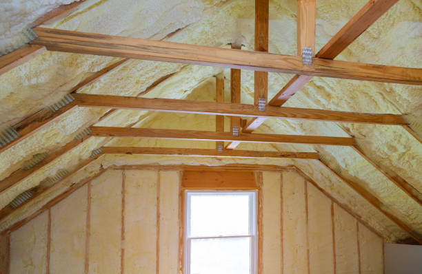 Best Cellulose Insulation in Roscoe, TX