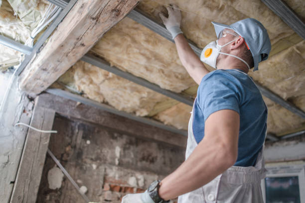 Types of Insulation We Offer in Roscoe, TX