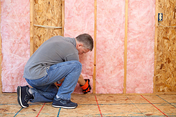 Best Specialized Insulation Services in Roscoe, TX