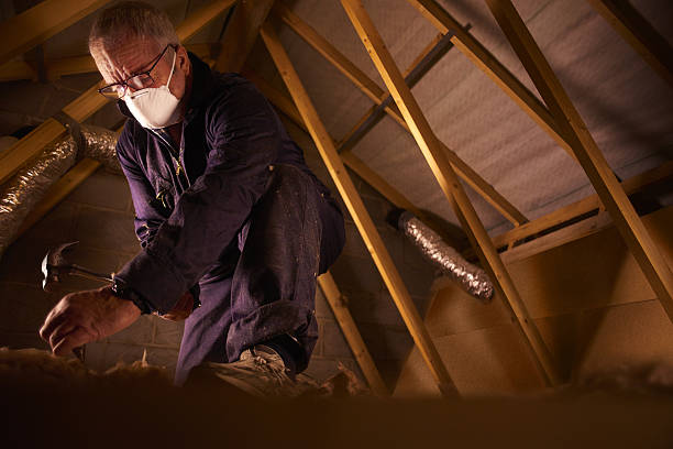 Best Commercial Insulation in Roscoe, TX